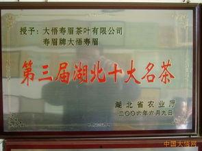 国产黄站,探索中国网络文化新趋势